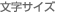 文字サイズ